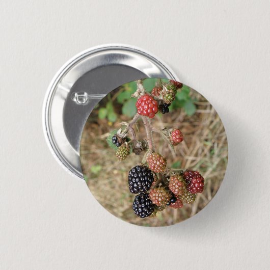 BlackBerry Bonanza Button (Vorne & Hinten)