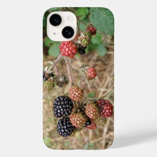 BlackBerry Bonanza Case-Mate iPhone Hülle (Rückseite)