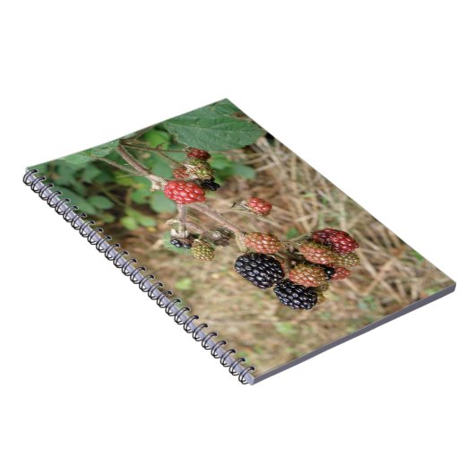 BlackBerry Bonanza Notebook Notizblock (Rechte Seite)