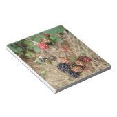BlackBerry Bonanza Notepad Notizblock (angewinkelt)
