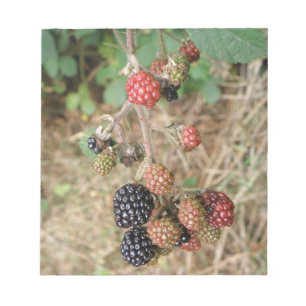 BlackBerry Bonanza Notepad Notizblock