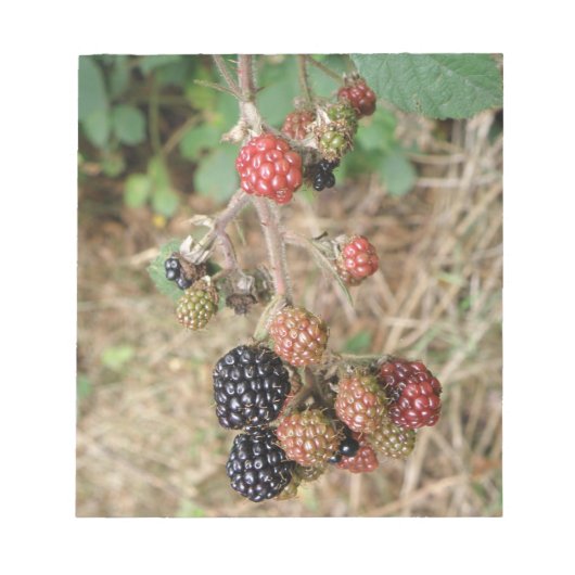 BlackBerry Bonanza Notepad Notizblock (Vorderseite)