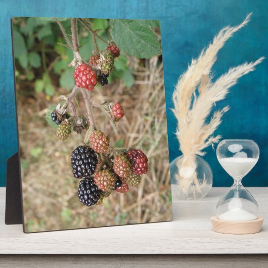 BlackBerry Bonanza Plaque Fotoplatte (Seite)