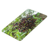 BlackBerry Bonanza Premium Magnet (Linke Seite)