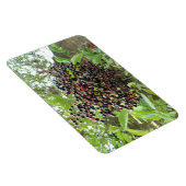 BlackBerry Bonanza Premium Magnet (Rechte Seite)