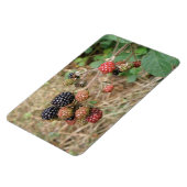 BlackBerry Bonanza Premium Magnet (Linke Seite)