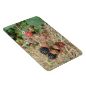BlackBerry Bonanza Premium Magnet (Rechte Seite)