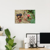 BlackBerry Bonanza Print Poster (Heimbüro)