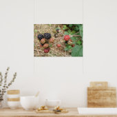 BlackBerry Bonanza Print Poster (Küche)