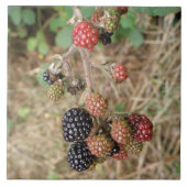 BlackBerry Bonanza Tile Fliese (Vorderseite)