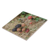 BlackBerry Bonanza Tile Fliese (Seite)