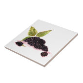 BlackBerry Bramble BlackBerry frucht Aquarell Fliese (Seite)