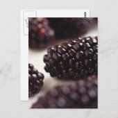 BlackBerry Closeup Postkarte (Vorne/Hinten)