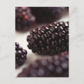 BlackBerry Closeup Postkarte (Vorderseite)