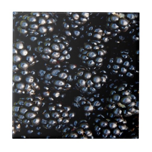 BlackBerry Fliese (Vorderseite)