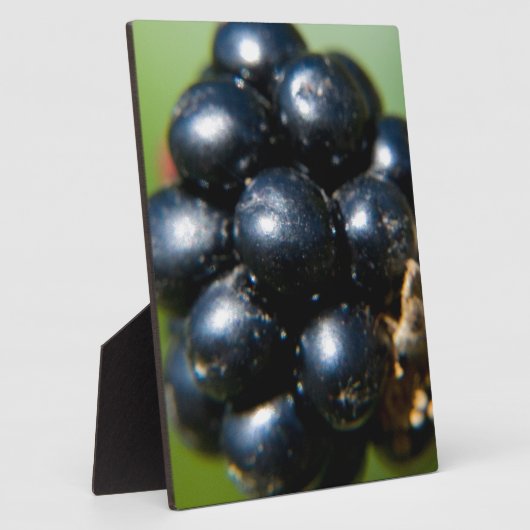 BlackBerry Fotoplatte (Seite)