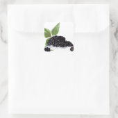 BlackBerry Früchte Aquarellspeisen Sommerwald Quadratischer Aufkleber (Tasche)