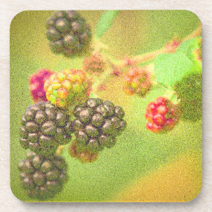 "BlackBerry Fruit Pflanze" Niedliches Foto. Jetzt  Getränkeuntersetzer