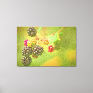 "BlackBerry Fruit Pflanze" Niedliches Foto. Jetzt  Leinwanddruck