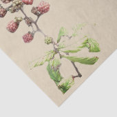 BlackBerry-Hintergrund Seidenpapier (Ausschnitt)