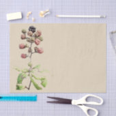 BlackBerry-Hintergrund Seidenpapier (Handwerk)