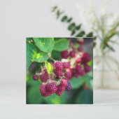 BlackBerry Karte (Stehend Vorderseite)