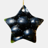 BlackBerry Keramikornament (Vorne)