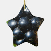 BlackBerry Keramikornament (Links)