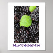 BlackBerry Kitchen Art Poster (Vorne)