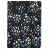 BlackBerry Klemmbrett (Rückseite)