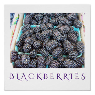 BlackBerry-Küchen-Kunst-Plakat für Wohngestaltung Poster