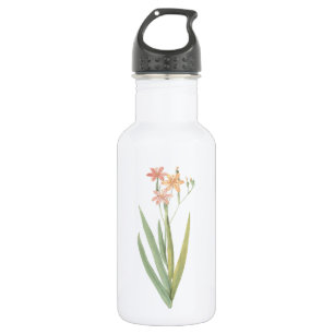BlackBerry lily(Belamcanda chinensis) von Redouté Trinkflasche