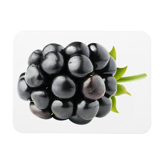 BlackBerry Magnet (Horizontal)