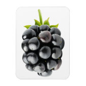 BlackBerry Magnet (Vertikal)