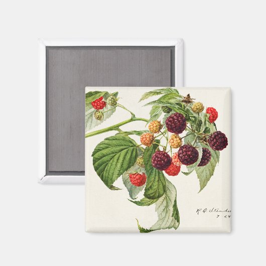 BlackBerry Magnet (Vorderseite/Rückseite)