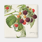 BlackBerry Magnet (Vorne)