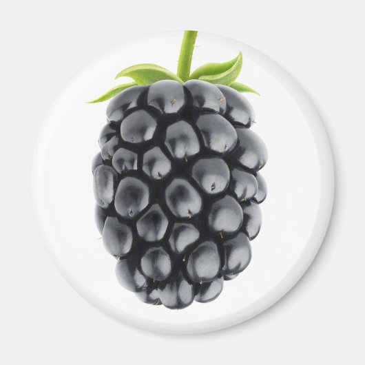 BlackBerry Magnet (Vorne)