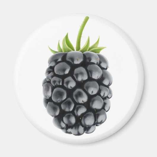 BlackBerry Magnet (Vorne)