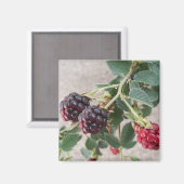 BlackBerry Magnet (Vorderseite/Rückseite)
