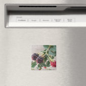 BlackBerry Magnet (In Situ (Geschirrspüler))