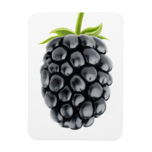 BlackBerry Magnet (Vertikal)