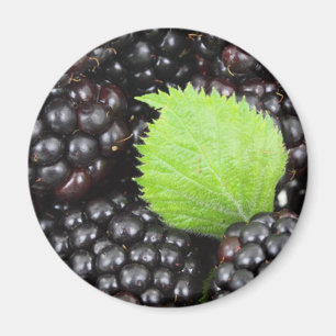 BlackBerry Magnet