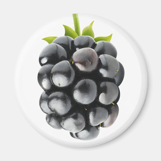 BlackBerry Magnet (Vorne)