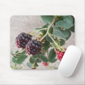 BlackBerry Mousepad (Mit Mouse)