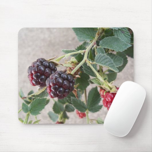 BlackBerry Mousepad (Mit Mouse)