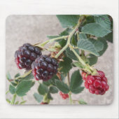 BlackBerry Mousepad (Vorne)