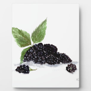 BlackBerry Obst Aquarellmalerei Fotoplatte
