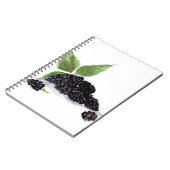 BlackBerry Obst Aquarellmalerei Notizblock (Linke Seite)