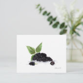 BlackBerry Obst Aquarellmalerei Postkarte (Stehend Vorderseite)