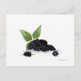 BlackBerry Obst Aquarellmalerei Postkarte